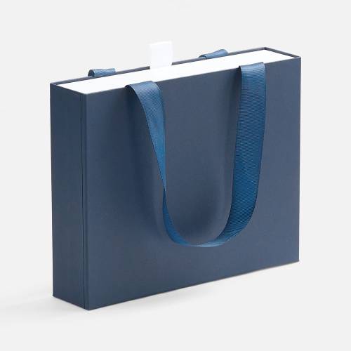 Коробка Regalis, XS, синяя фото 2