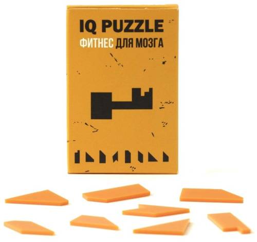 Головоломка IQ Puzzle, ключ фото 2 Головоломка IQ Puzzle, ключ фото 2