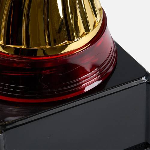 Кубок Awardee, средний, красный фото 7 Кубок Awardee, средний, красный фото 7