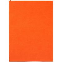 Ежедневник Flat Light, недатированный, оранжевый