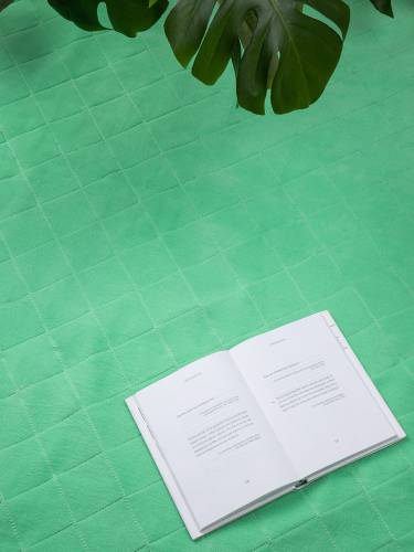 Плед для пикника Soft & Dry 2, светло-зеленый фото 9 Плед для пикника Soft & Dry 2, светло-зеленый фото 9
