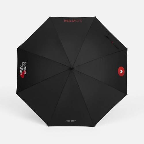 Зонт-трость Rainzee, ver.2, черный фото 8 Зонт-трость Rainzee, ver.2, черный фото 8