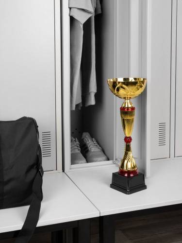Кубок Awardee, большой, красный фото 6 Кубок Awardee, большой, красный фото 6