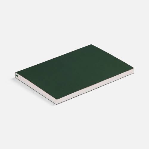 Ежедневник Flat Light ver.2, недатированный, зеленый фото 4