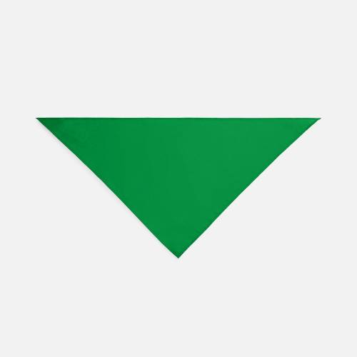 Шейный платок Bandana, ярко-зеленый фото 4