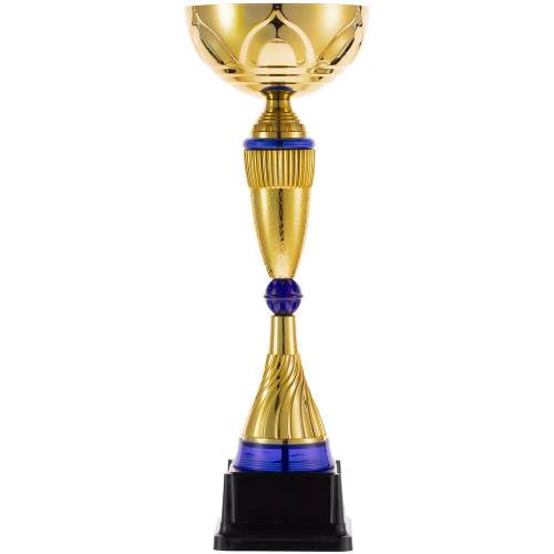Кубок Awardee, большой, синий фото 3 Кубок Awardee, большой, синий фото 3