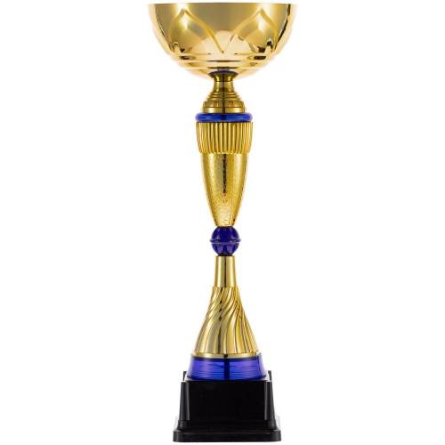 Кубок Awardee, малый, синий фото 3 Кубок Awardee, малый, синий фото 3