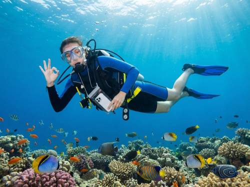 Водонепроницаемый чехол для телефона Aqualock, серый фото 11 Водонепроницаемый чехол для телефона Aqualock, серый фото 11