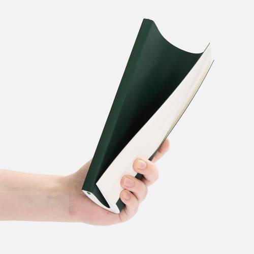 Ежедневник Flat Light ver.2, недатированный, зеленый фото 5