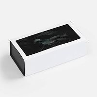 Коробка «Динамика успеха»